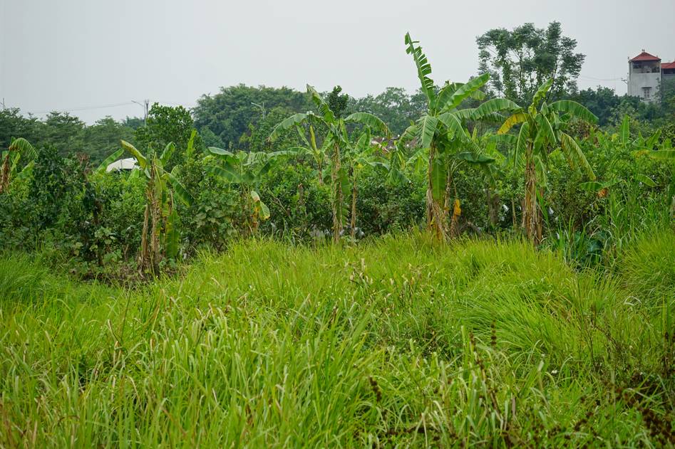 Homepage for Beauty & Skincare Organic and Natural Beauty organic wines