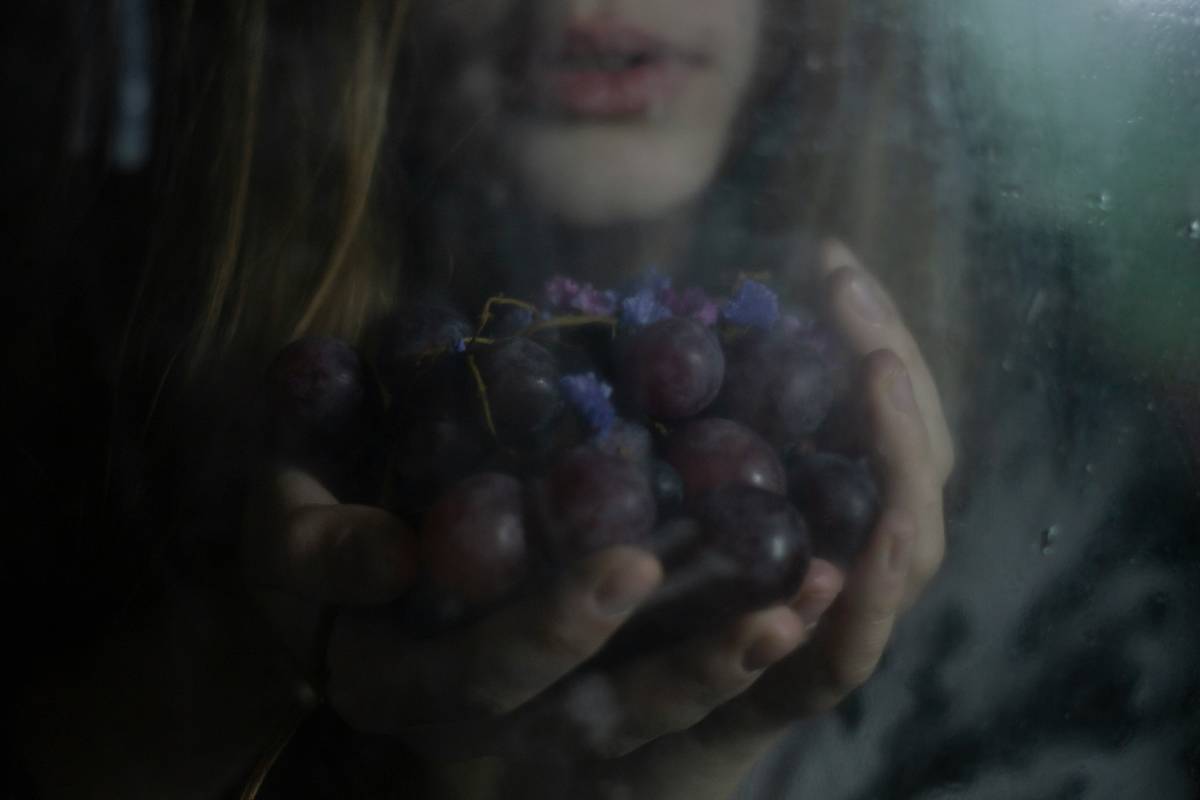 A hand holding a glass of red wine surrounded by grapes, symbolizing ethical sourcing in winemaking.