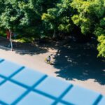 Discover the Beauty in Your Glass: Why Low-Impact Organic Wines Are a Game-Changer