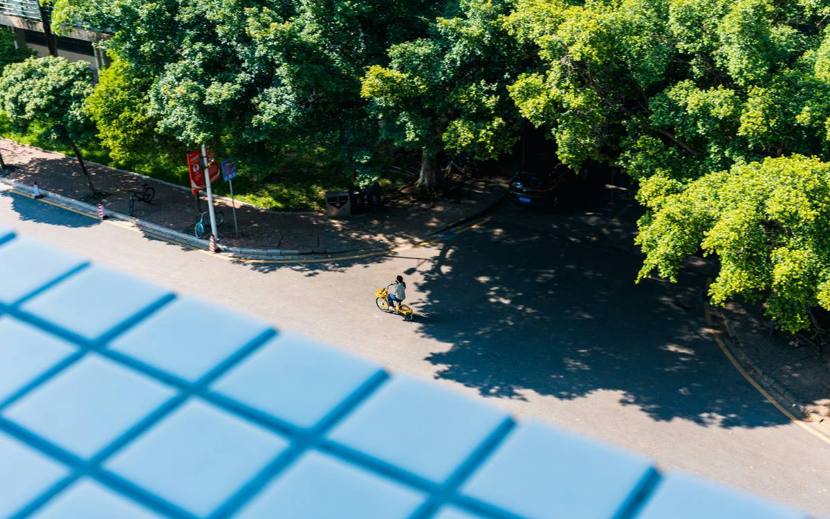 Discover the Beauty in Your Glass: Why Low-Impact Organic Wines Are a Game-Changer