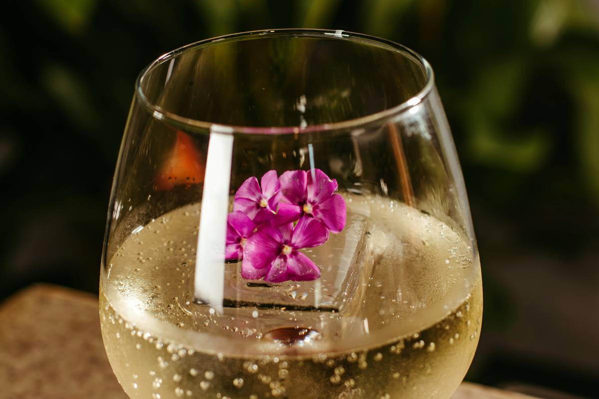 Eco-Friendly Organic Wines: Sipping Your Way to Sustainable Beauty